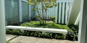 神戸・御影にあるクーデザインの事務所中庭の風景